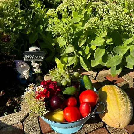 Iva With Pool Villa *