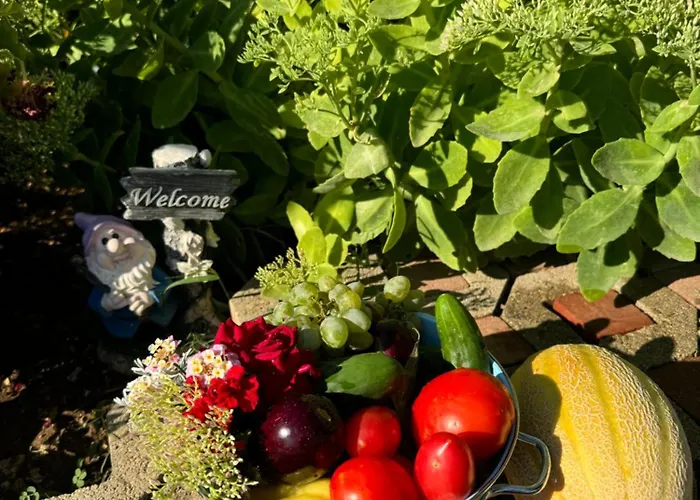 Iva With Pool Villa *